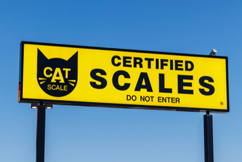 CAT scale