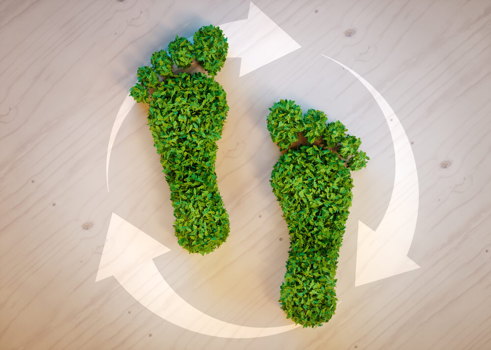 smaller-carbon-footprint

